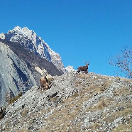 Location Vacances Saint Michel De Maurienne "Le Dahu" Appartamento Esterno foto