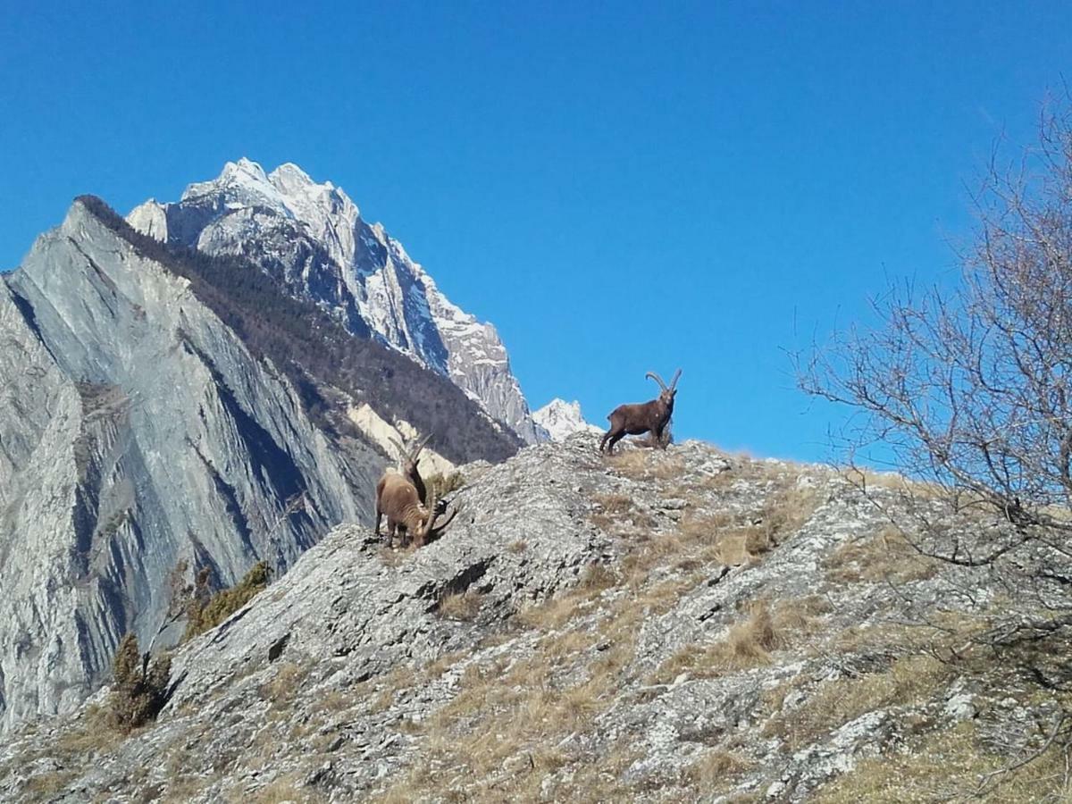 Location Vacances Saint Michel De Maurienne "Le Dahu" Appartamento Esterno foto